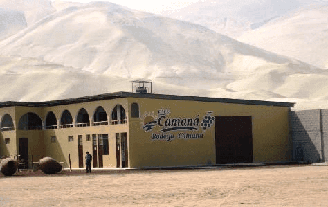 Camaná Winery - Lugar turístico en Camaná, Perú