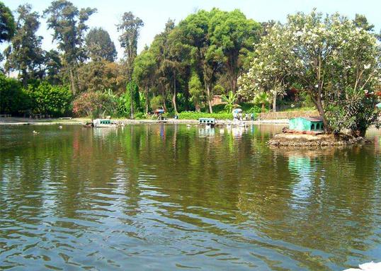 Vivero forestal de Chimbote - Lugar turístico en Chimbote, Perú